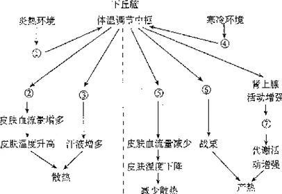 七日世界雪国人生：探索温度机制，详解高效抗寒策略与方法推荐