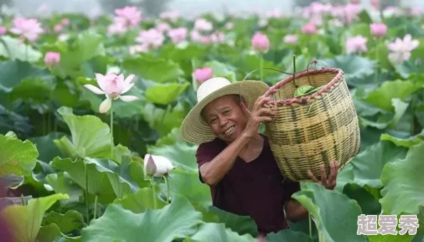 千层莲花裹茎术：新技术助力植物生长，提升农业产量与生态效益的最新研究进展