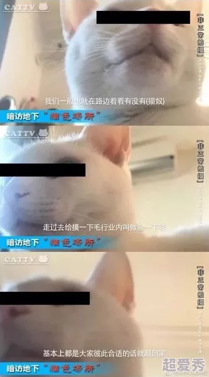 48阿姨山坡做皮肉生意，令人震惊的秘密曝光，竟然隐藏着不为人知的黑暗交易！