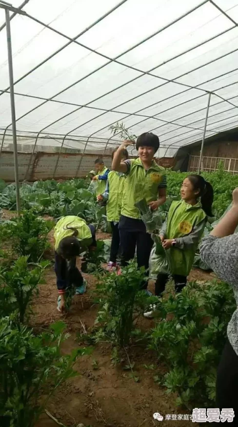 乐缤纷庄园：热情洋溢的农场员工风采与职责详细介绍