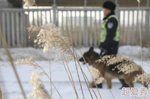 《荒野行动》全面指南：成为顶尖巡查员的详细教程