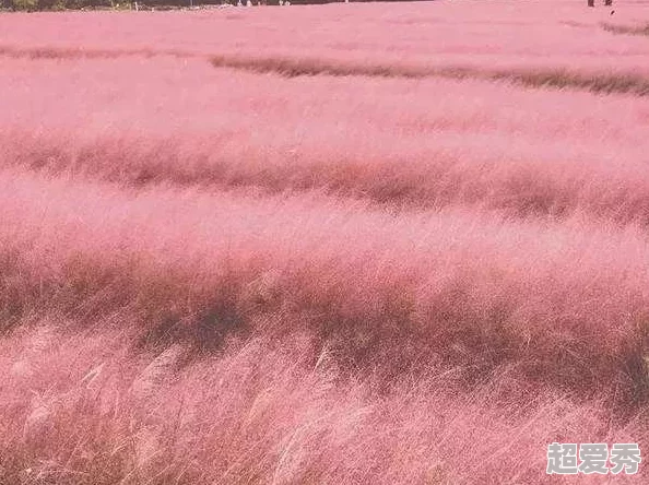 久久国产乱子伦精品免费不卡，内容丰富多样，让人耳目一新，非常值得一看！