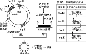 详尽解析：晶核全甲的精致特性与重甲的坚固差异对比