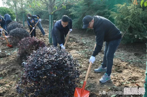 〈欢欣森活〉：探索独特魅力与乐趣无穷的绿色游戏特色内容介绍