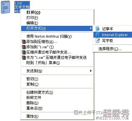 亚洲精品中文字幕无乱码麻豆：最新动态揭示了更多精彩内容与用户体验的提升，值得期待！