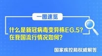 一区二区三区高清视频在线观看：最新技术进展推动视频流媒体质量提升，用户体验显著改善，未来发展前景广阔