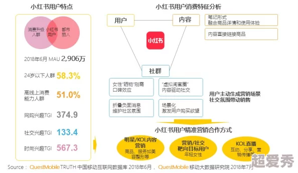 日本a级网站，内容丰富多样，用户体验极佳，是我上网的首选平台