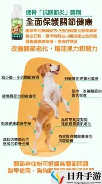 人狗胶配方大全：为爱犬提供健康营养的多种自制食谱与喂养建议