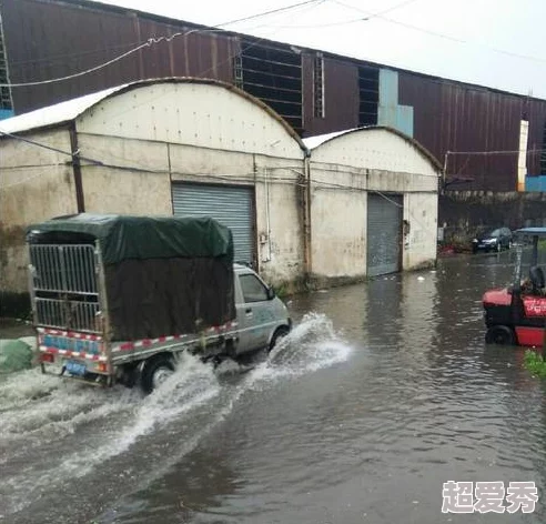 在狂风暴雨中，粗大猛烈的情感如洪水般灌满心灵，求饶的声音在绝望中回响，谁能听见？