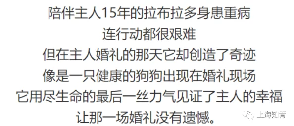 男同全文肉短篇集合让我们珍惜每一份爱与友情，共同创造美好生活