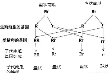 jy灌溉系统npc御书房最新灌溉技术提升作物产量，助力农业可持续发展