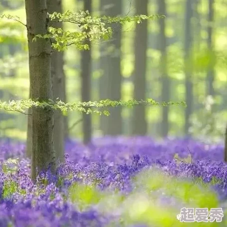 春雪瓶愿你在每一个春天都能感受到生命的美好与希望