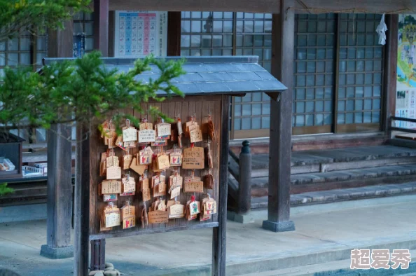 福利神社当我们仰望天空时看见什么？心怀梦想勇敢追逐未来的光芒