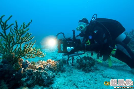 好深啊近日科学家发现深海生物新物种其独特发光机制引发关注