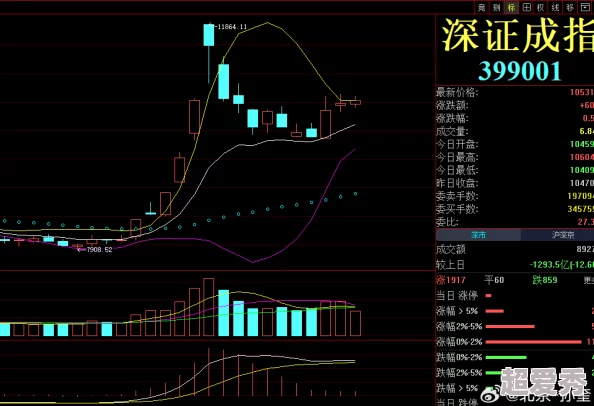 公啊…啊好涨第一近日市场波动加剧投资者需谨慎应对风险与机遇并存