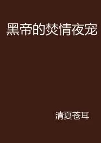 小说另类焚情让爱与希望在心中燃烧，点亮生活的每一个角落