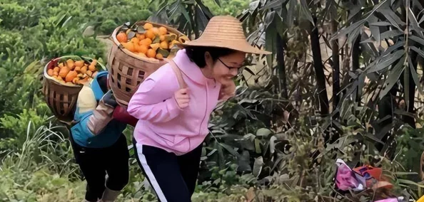 雯雯的山村性欢日记雯雯和大山里的养蜂人相遇了