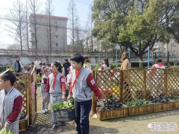 幸福村交换俱乐部招募新成员啦体验田园生活感受乡村乐趣