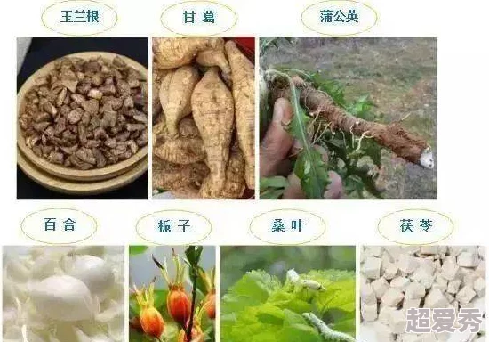 啊好爽好舒服近日科学家发现新型植物提取物能显著提升人类幸福感