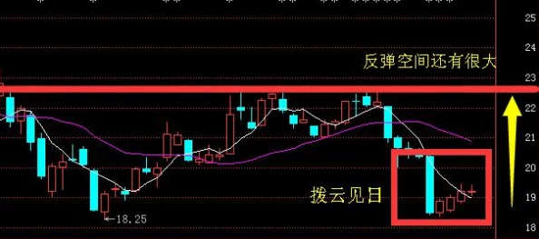 日本中文字幕乱码免费问题已修复，现已支持高清流畅播放