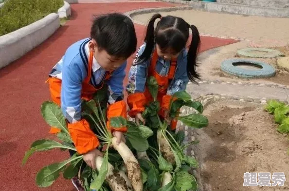 在野外用小雨伞拔萝卜好吗进度更新：小雨伞已找到，萝卜种子已播种，等待发芽中