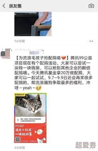 窒物者据传曾匿名捐款巨额善款给流浪动物救助中心引发网友热议