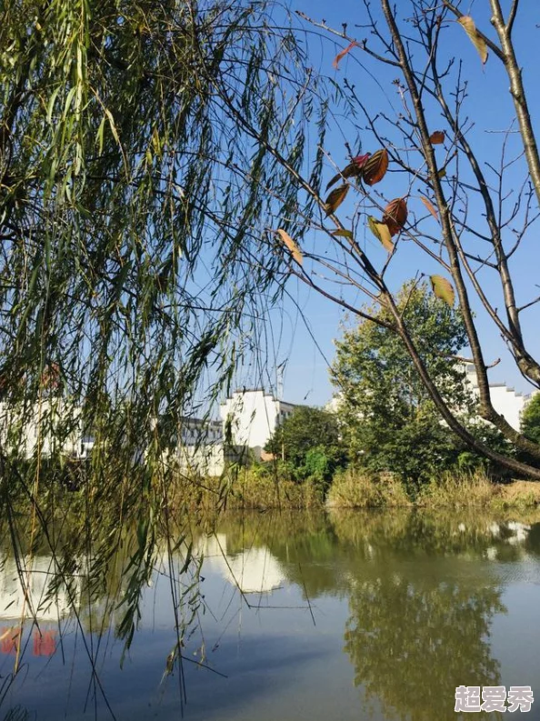 一叶青天近日科学家发现新型植物具有抗污染能力或将改变城市绿化策略