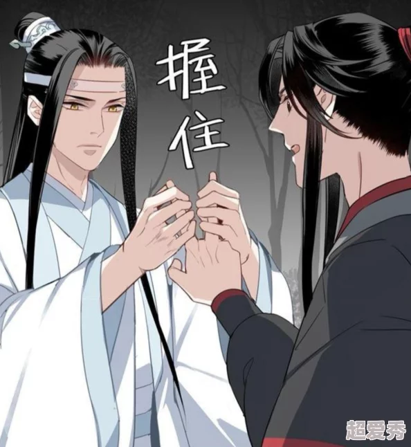 魔道祖师避尘车原文蓝忘机醉酒后强取豪夺魏无羡终成眷属